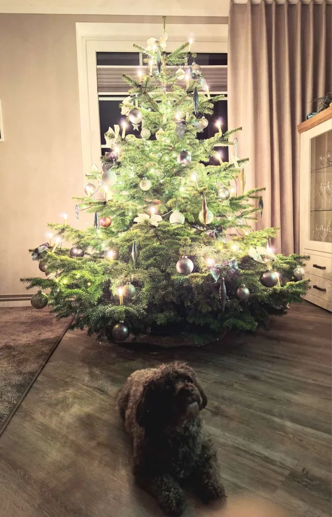 Festlich geschmückter Tannenbaum der Familie Hartwig Schult mit Weihnachtsdekoration